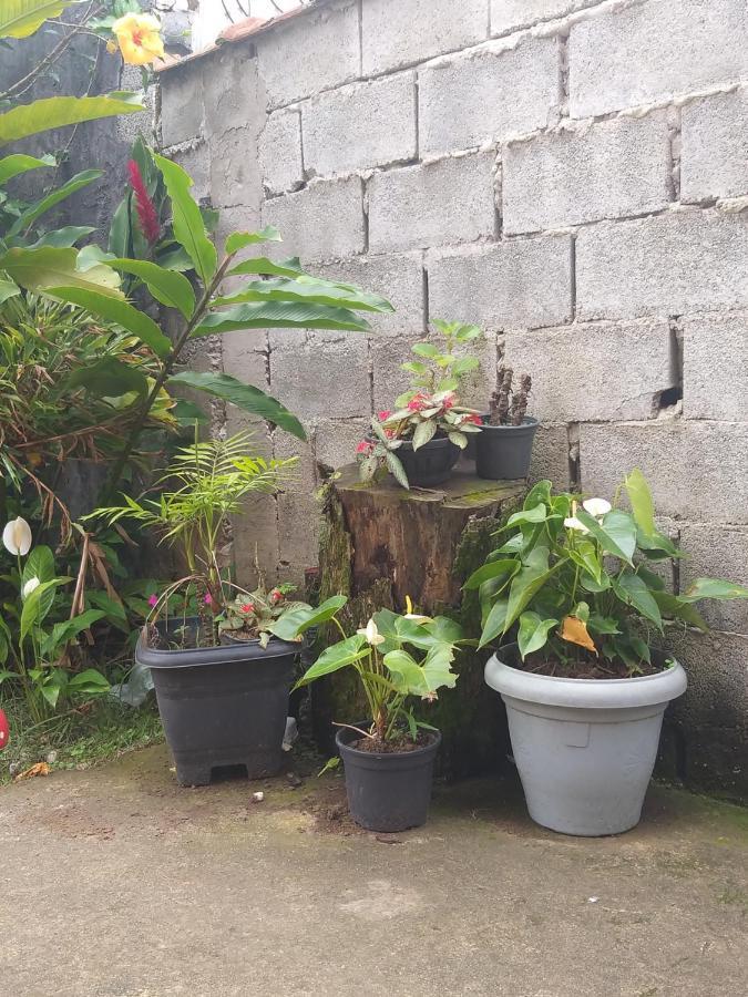 Casa Temporada Bertioga- Indaia Bertioga